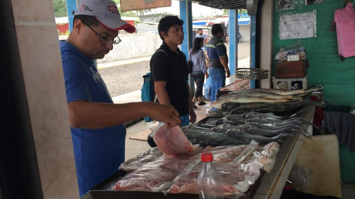 Emprenden acciones de verificación en establecimientos dedicados a la venta de mariscos