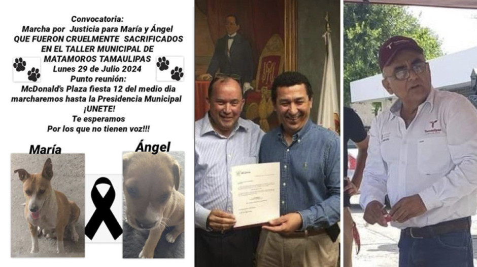 Por acusaciones de maltrato animal, renuncia Director del Taller Municipal de Matamoros