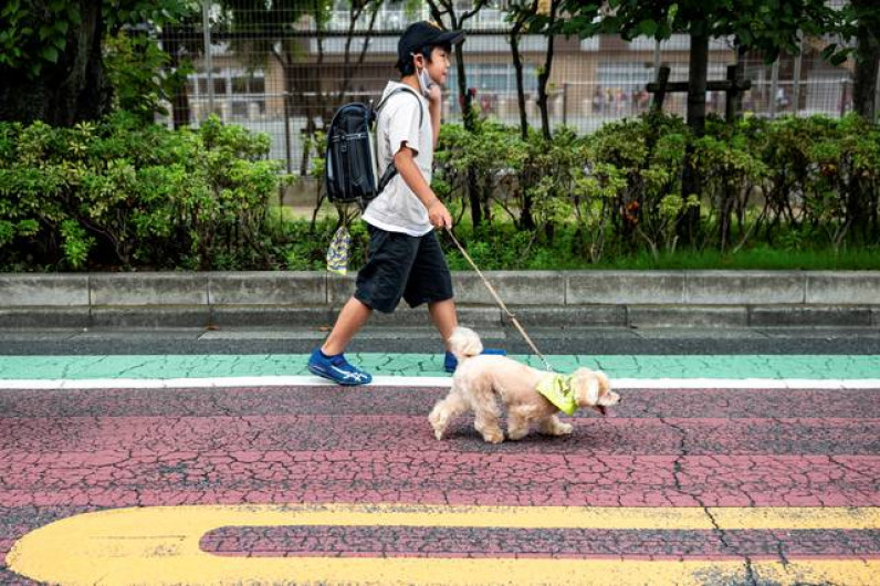 Comienzan iniciativa con perros que cuidan a niños en Japón