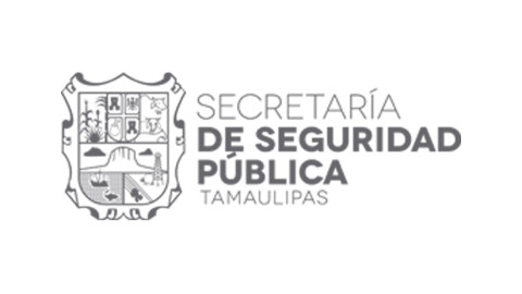 Aseguran armas largas y cartuchos