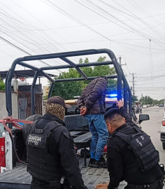 ¡Justicia para los animales! Guardia Estatal detiene a hombre por sacrificar gatos en Reynosa  