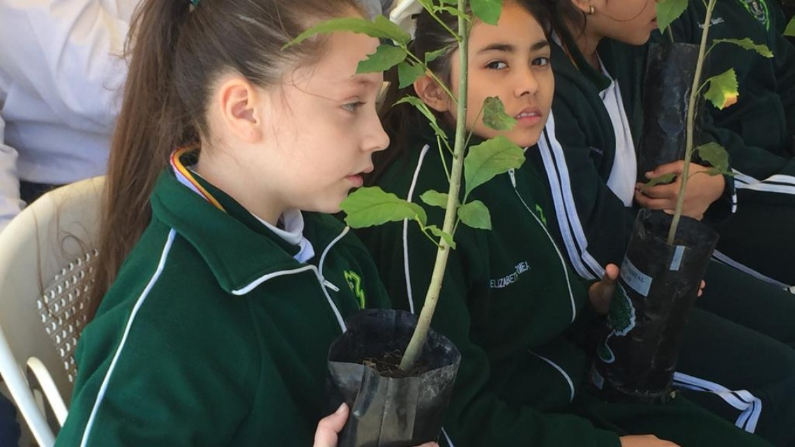 La iniciativa privada y el gobierno de Altamira impulsan el cuidado al medio ambiente