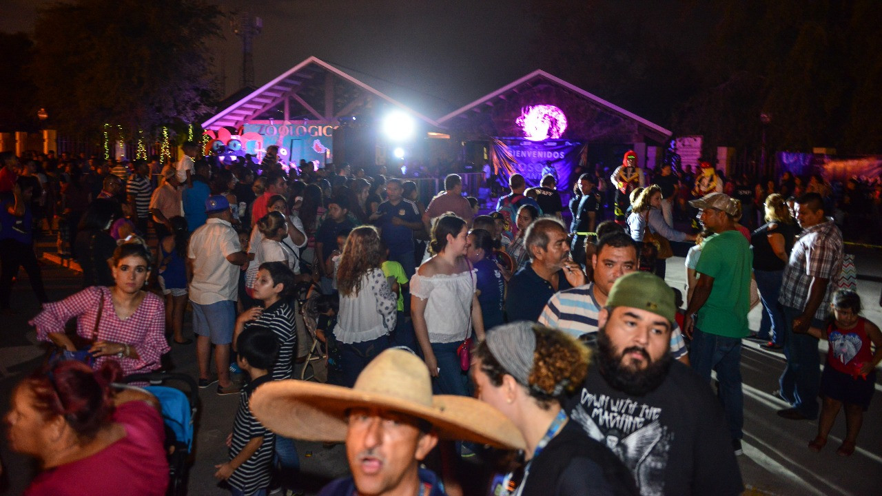 Más de 47 mil personas disfrutan primer día del ‘bosque encantado’