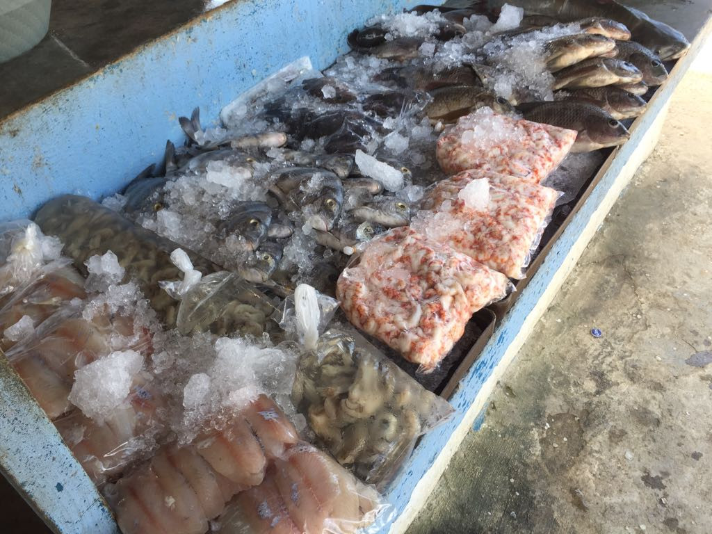 Solicitan mejoras en el mercado de mariscos de Altamira