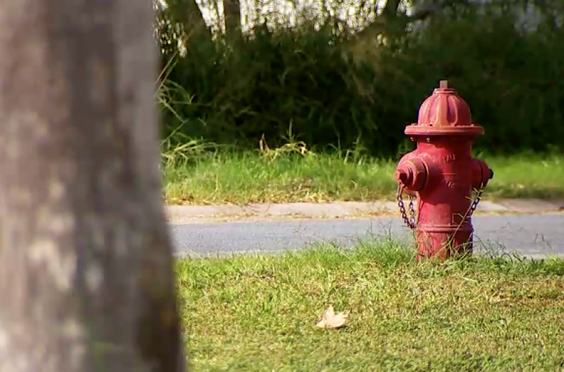 Nueva app ayudaría a localizar hidrantes de incendio