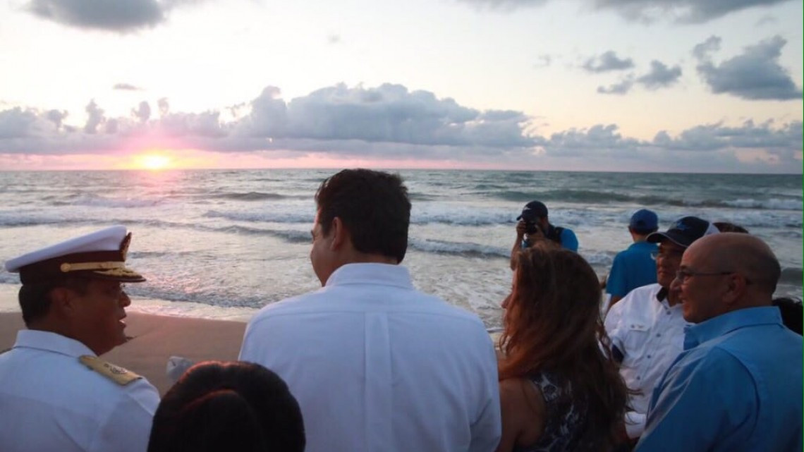 Liberan más de mil crías de tortuga lora en Tamaulipas