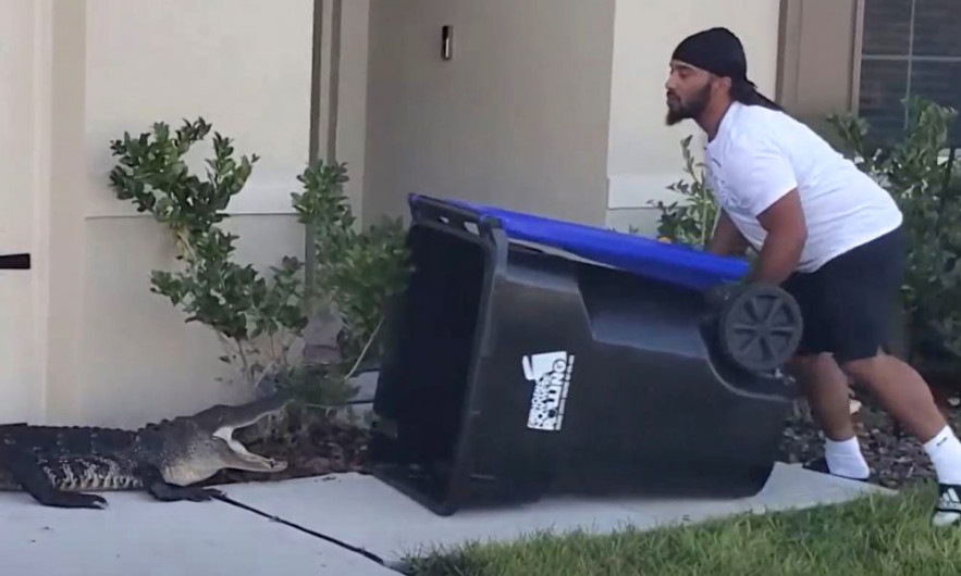 Hombre atrapa a cocodrilo en Florida ¡con un contenedor de basura!
