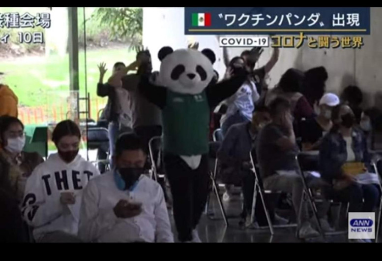"Pandemio" botarga mexicana de vacunación, se viraliza tanto que llega hasta Japón