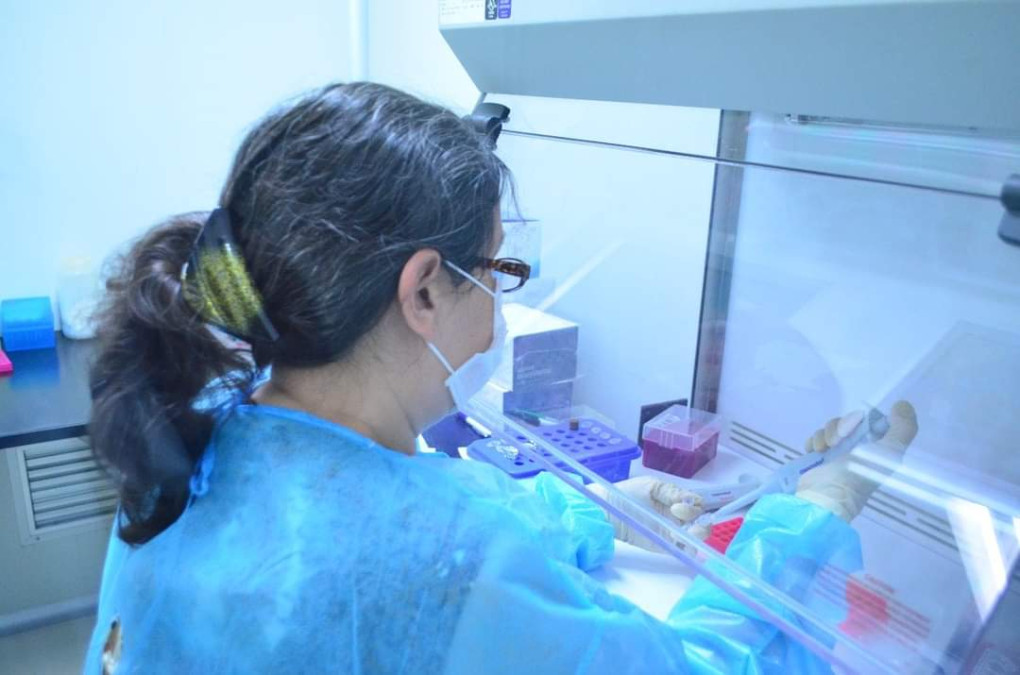 451 nuevos casos de COVID-19 en Tamaulipas 