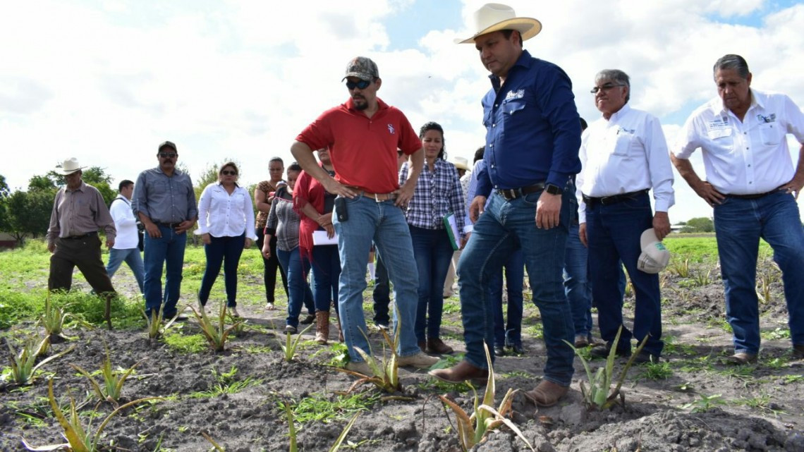 La actividad agrícola será el brazo fuerte de Tamaulipas