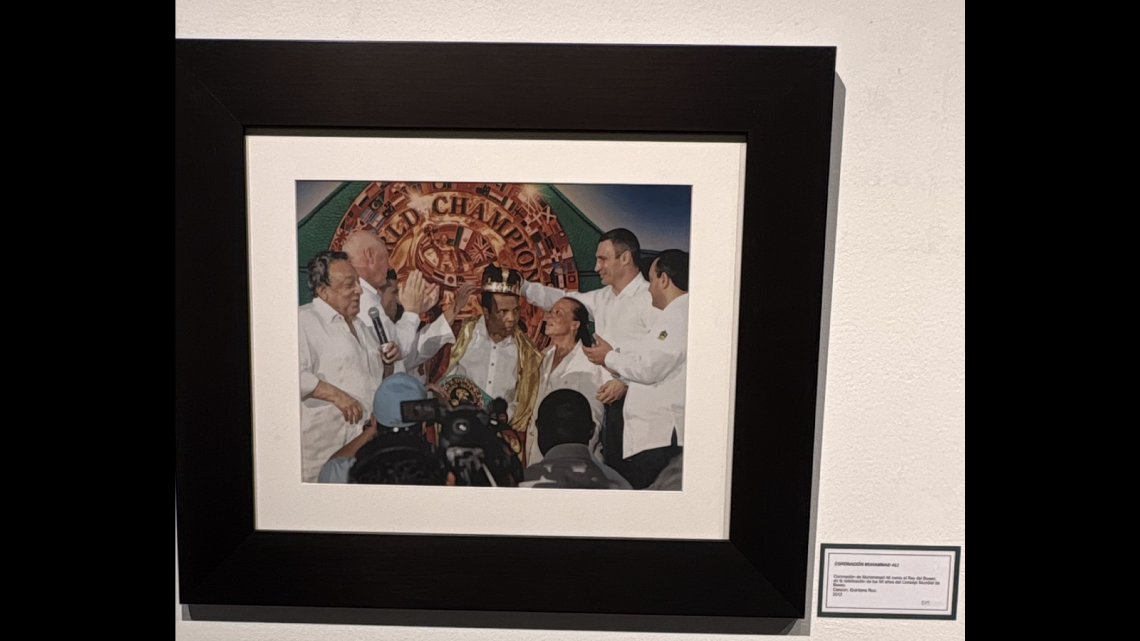 Verde y Oro: un recorrido por la historia del boxeo