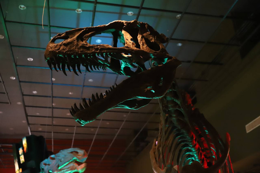 Eventos de fin de semana en Nuevo Laredo 