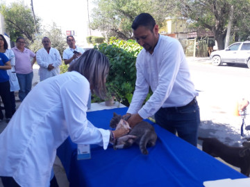 Convoca Secretaría de Salud a aplicar vacuna contra la rabia a mascotas