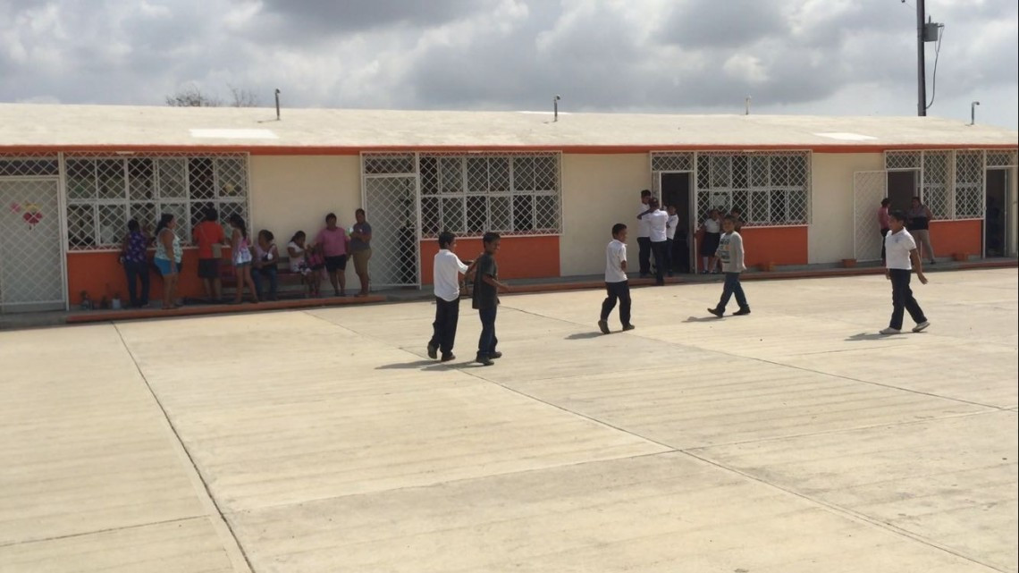 Felino acecha estudiantes de primaria y secundaria en Altamira