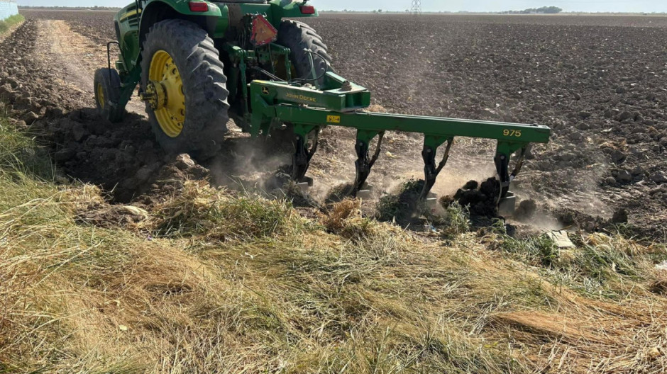 Apoyo a productores de granos solo es un mejoralito