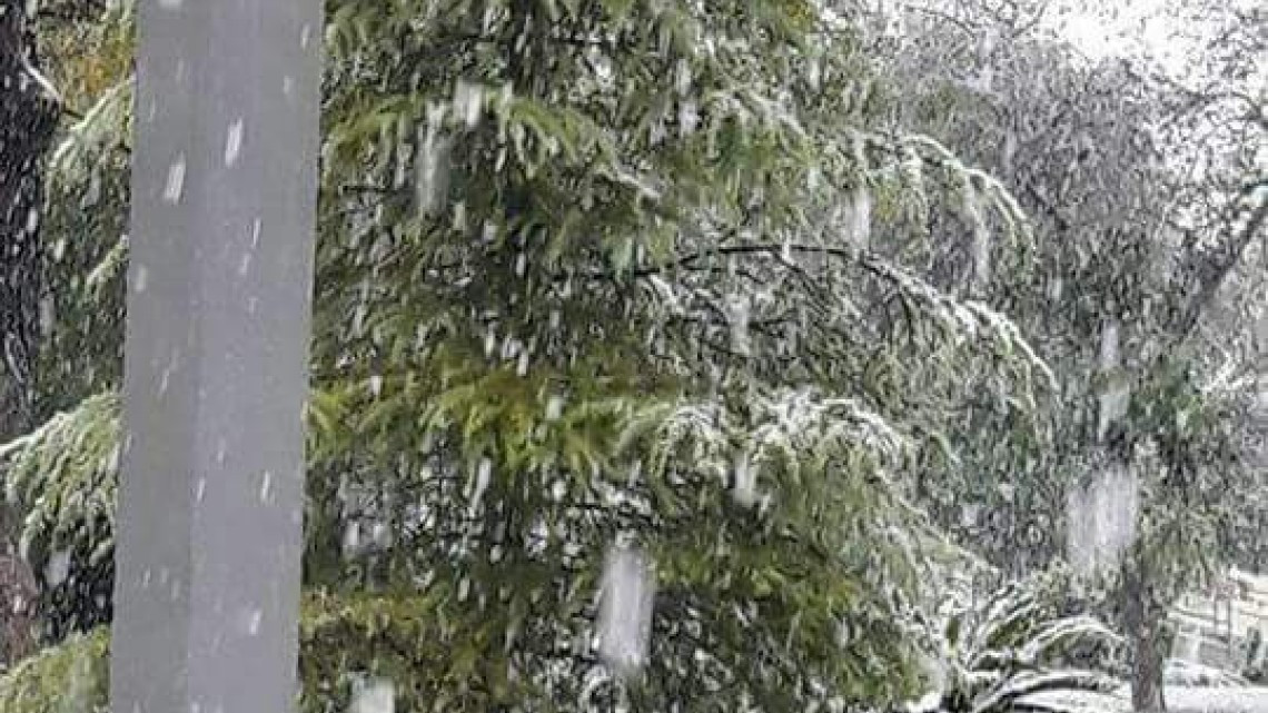 Reportan nevadas en norte del país