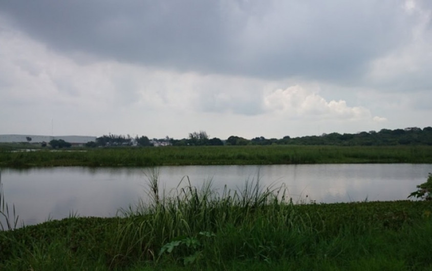 Sufre hombre ataque de cocodrilo