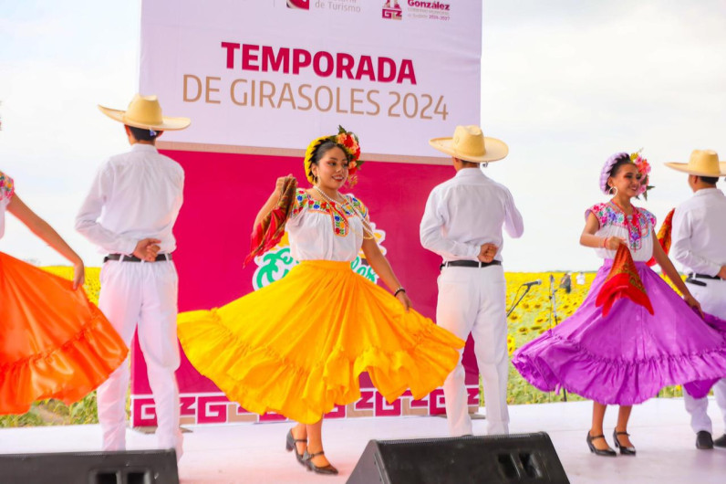 Respalda Gobierno de Tamaulipas promoción de campos de girasoles