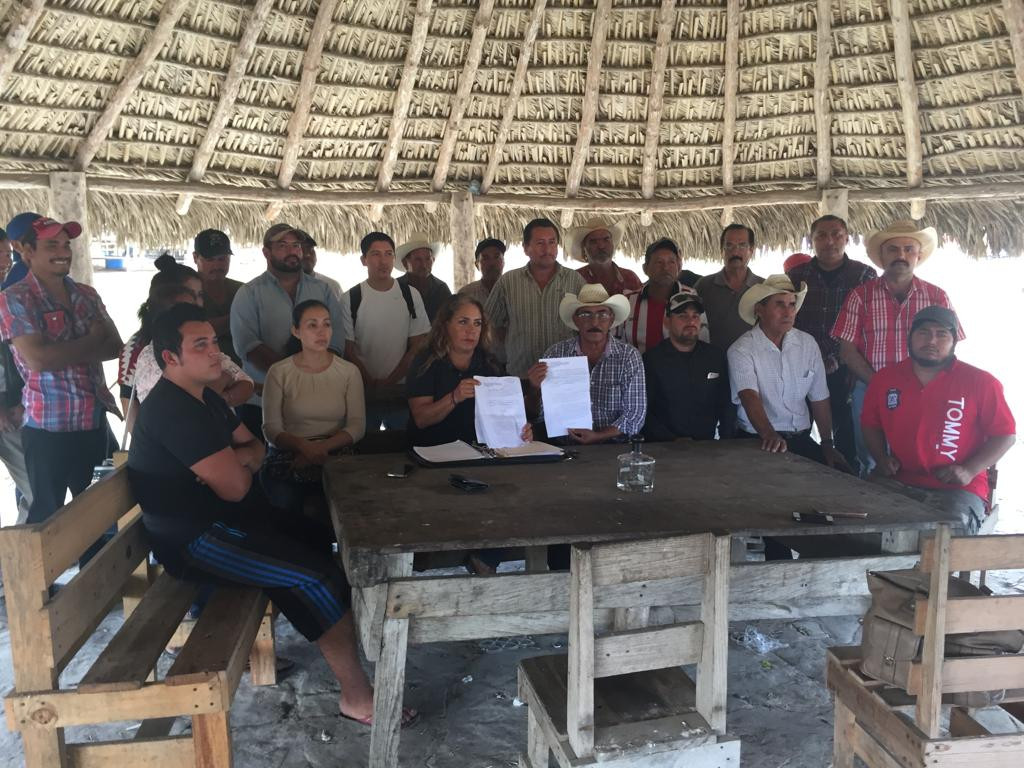 Denuncian robo de caballos en la zona sur