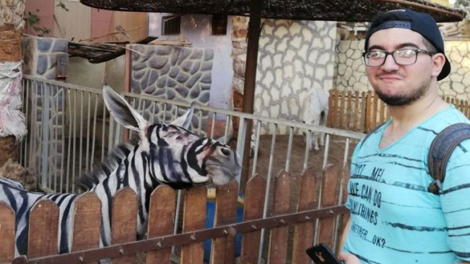 Zoológico pintaba burros para hacerlos pasar por cebras