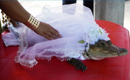 Alcalde oaxaqueño se casa con caimán 