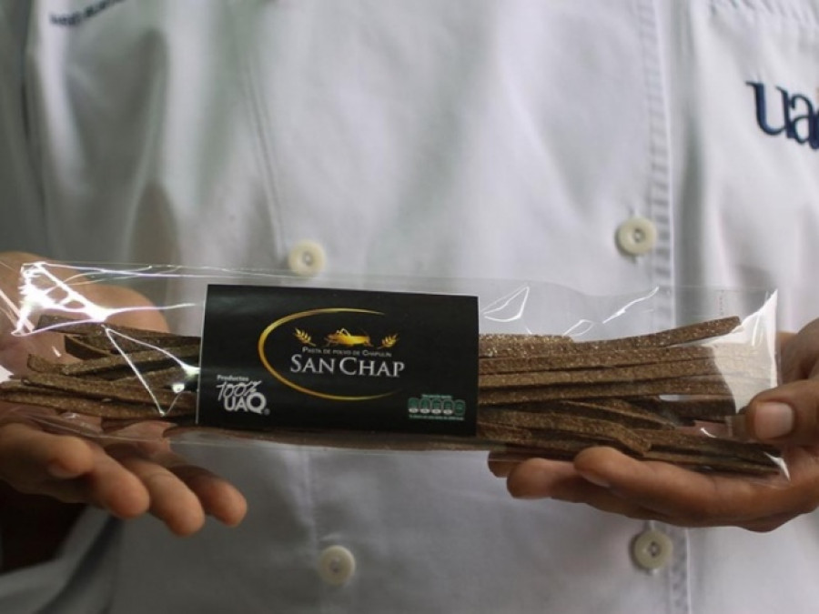 Joven mexicano crea pasta a base de chapulines