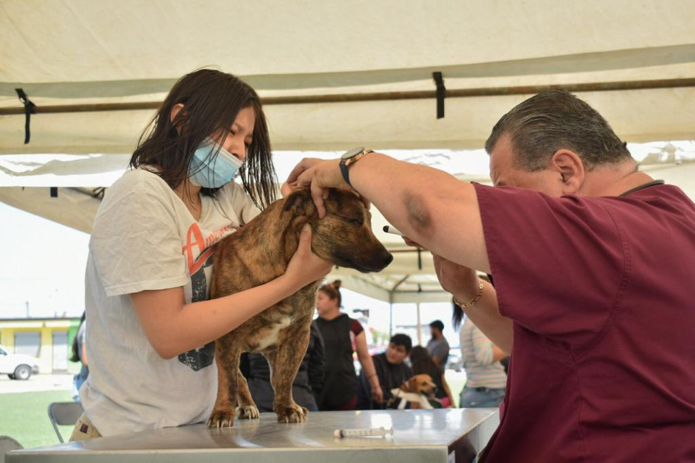 Celebran 25ª edición de la Brigada de Salud Animal