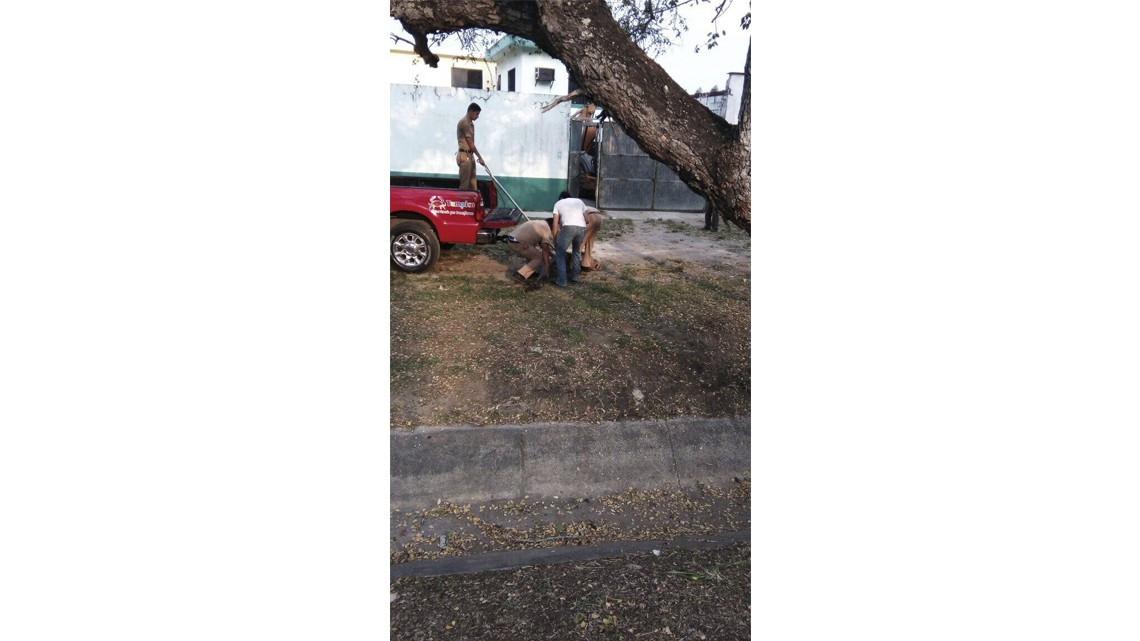 Cocodrilo sembraba el terror en colonias aledañas al Carpintero