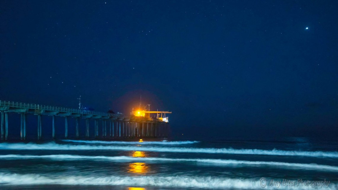 Las playas de San Diego se visten de azul-neón