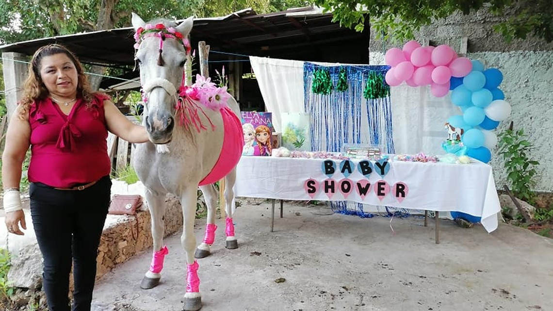 Hacen baby shower a una yegua en Yucatán 