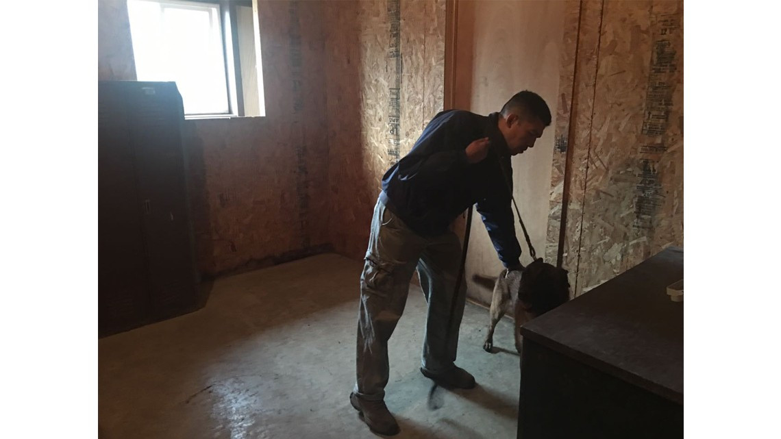 Personal de la PGJ de Tamaulipas recibe capacitación para el adecuado manejo canino