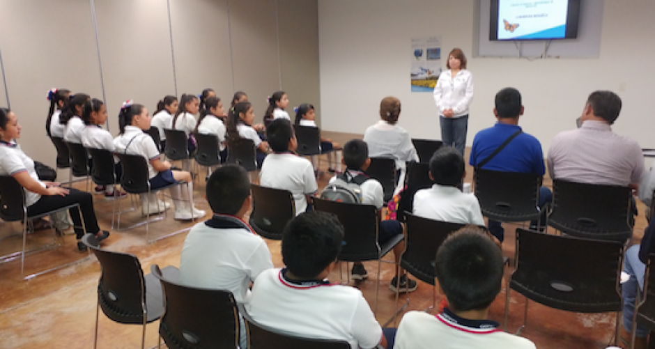 Ruta Migratoria de mariposa Monarca es mejorada 