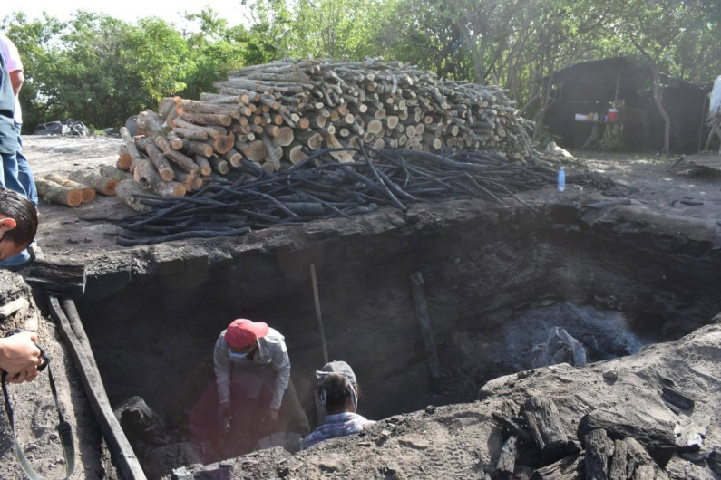 Ocupa Tamaulipas segundo lugar a nivel nacional en producción de carbón
