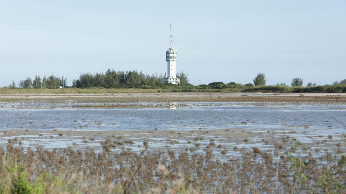 Asegura Gobierno de Tamaulipas predio por el que se acusa de peculado a Eugenio 