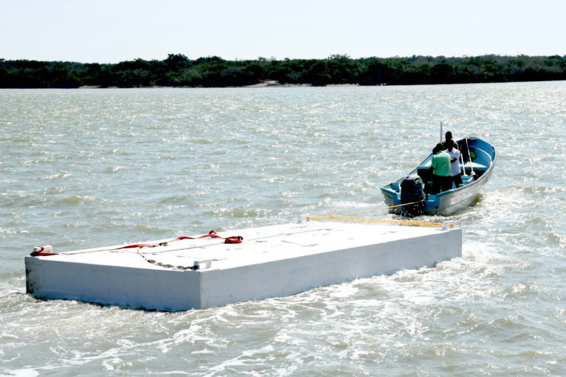 Presentan proyecto para el cultivo de ostión en Tamaulipas