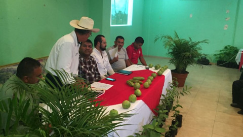 Se realizará una campaña para la sucesión de parcelas ejidales en Altamira.