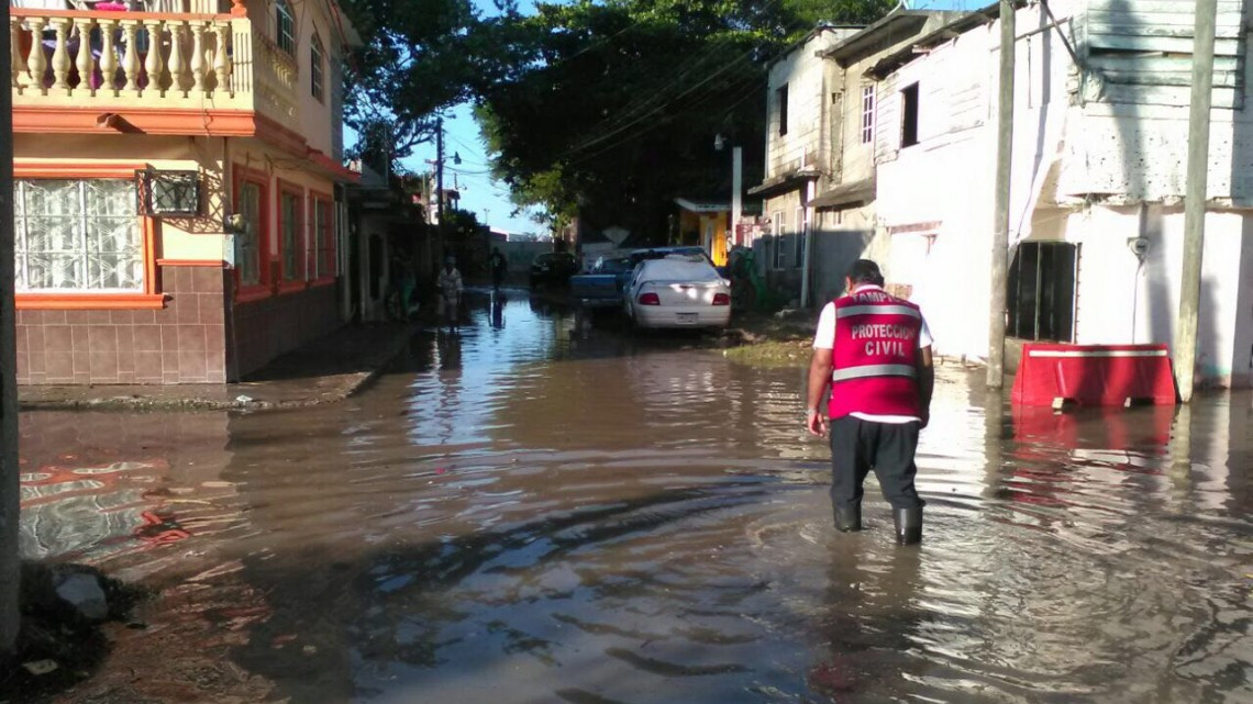 "La gente no se quiere salir de sus casas": Alcaldesa de Tampico 