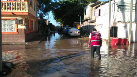 "La gente no se quiere salir de sus casas": Alcaldesa de Tampico 
