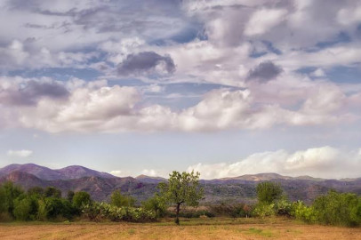 Clima Tamaulipas: Así amanecemos este domingo 22 de diciembre del 2024