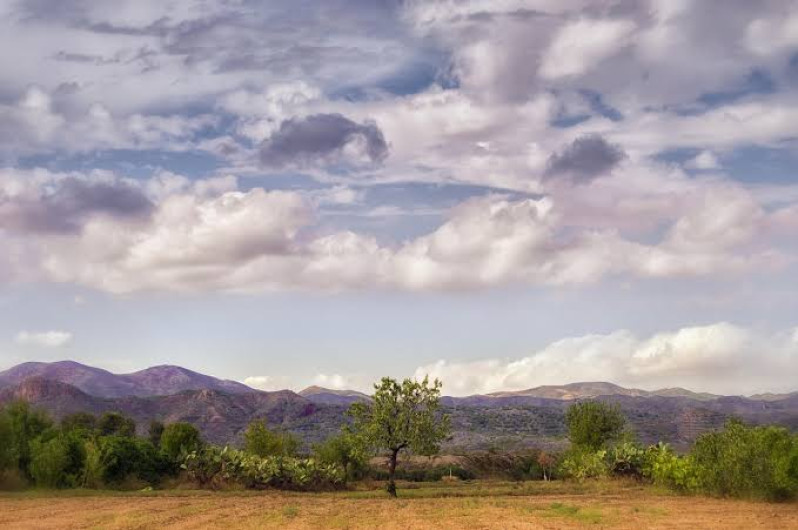 Clima Tamaulipas: Así amanecemos este domingo 22 de diciembre del 2024