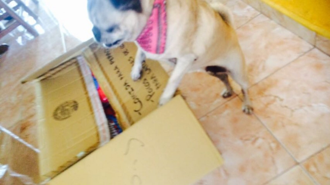 Apoyo entregado a NotiGAPE vuela de Tamaulipas a CDMX