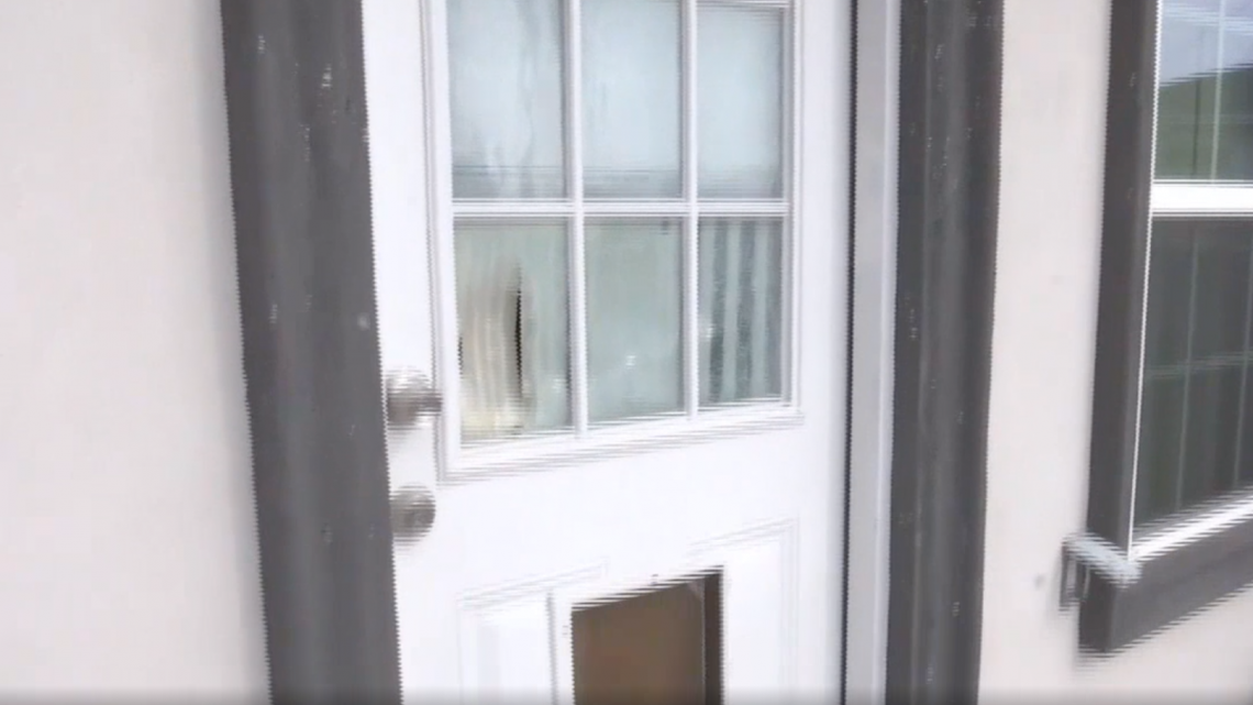 Roban en una casa en Donna y se llevan hasta el perro 