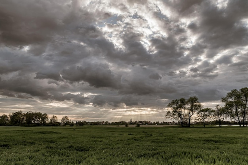 Conoce el clima del último día del año 2024 en Tamaulipas