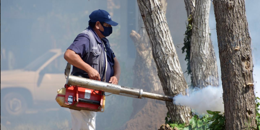 Intensifica Altamira acciones contra el dengue
