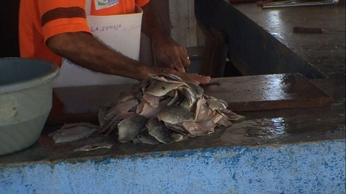 Pescadores buscan integrarse a la formalidad, para obtener beneficios de gobierno