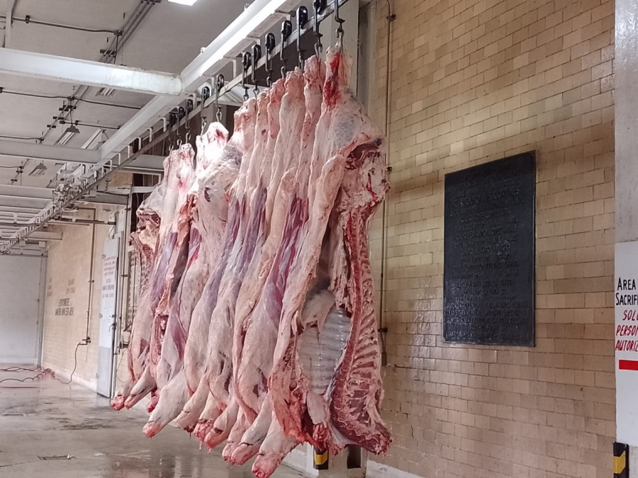 Por temporada decembrina aumenta demanda en el rastro municipal 