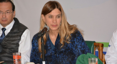 Mi esposo no es propietario de negocio en zona de tolerancia: Maki