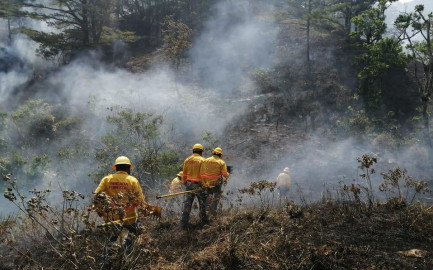 Prevé PC de Tamaulipas incremento de incendios por canícula