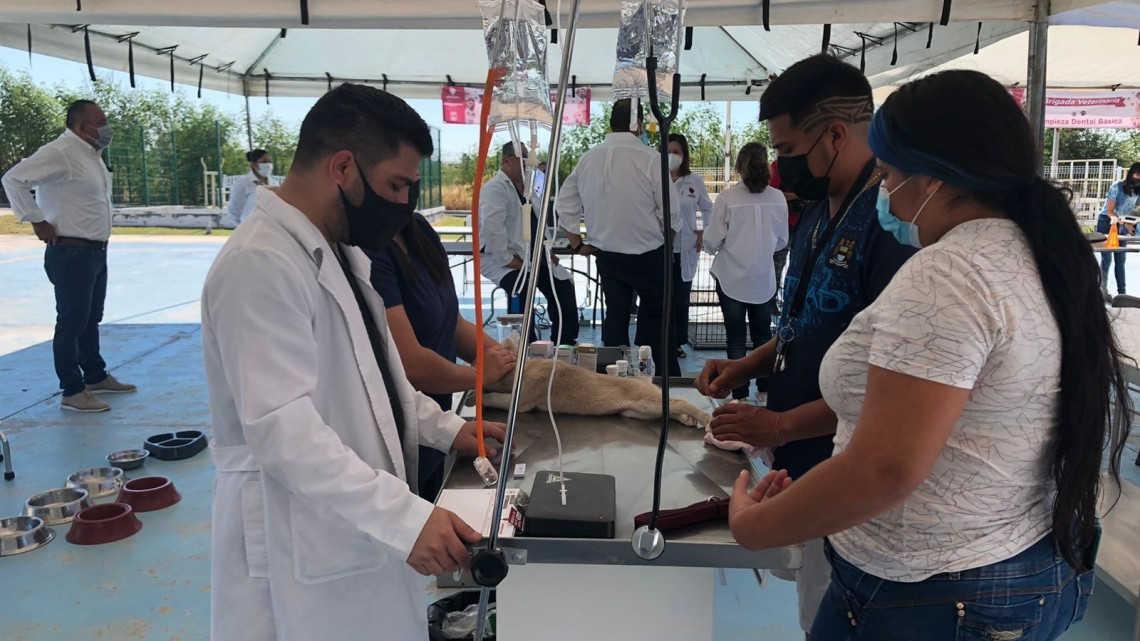 Gobierno Municipal de Nuevo Laredo realiza la primera "Campaña Itinerante de Salud Animal" 