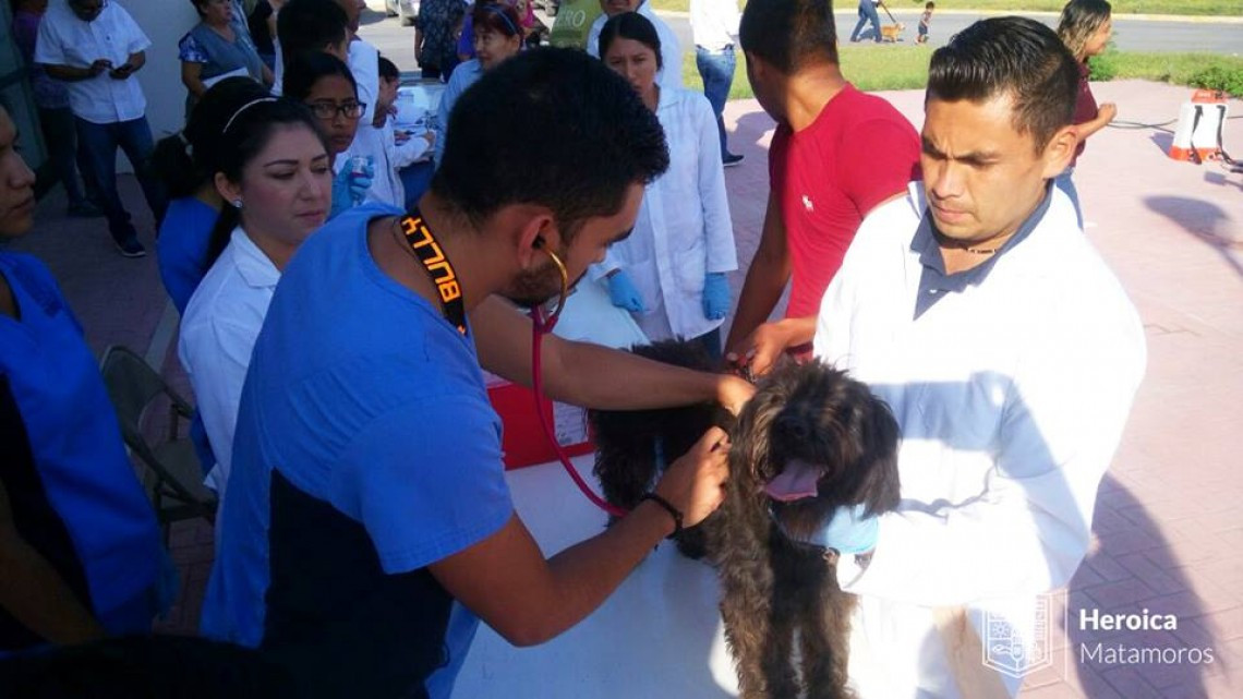 Llevan a cabo programa "Mascota Sana, Familia Sana"